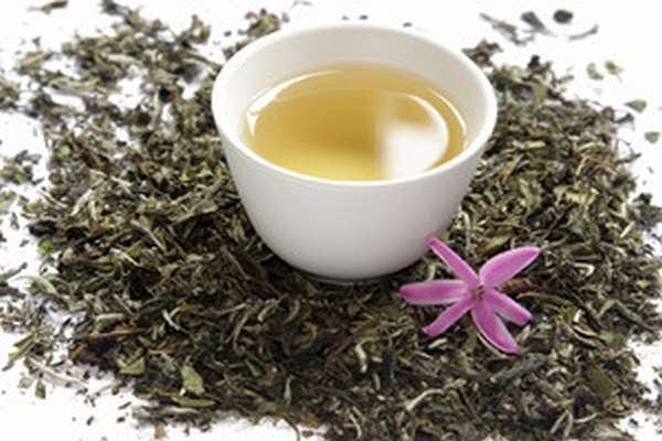 Состав, польза и популярные сорта белого чая